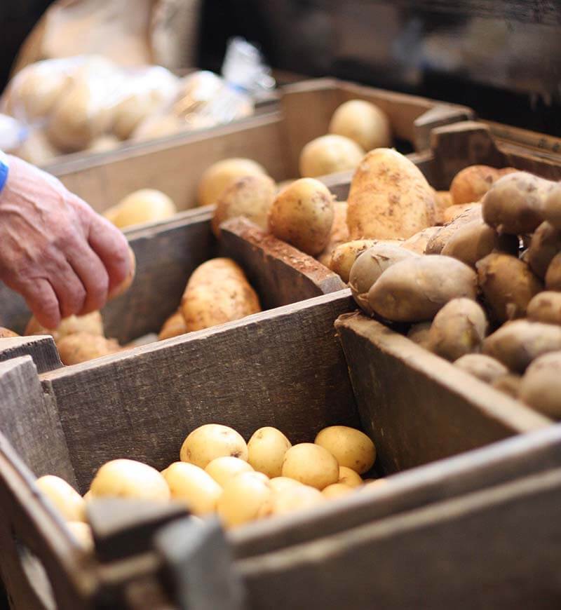 food-coop-14 distribuidora de alimentos en Madrid